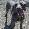 Marley happy boy
